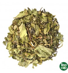 Té verde con menta