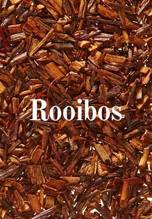 Rooibos