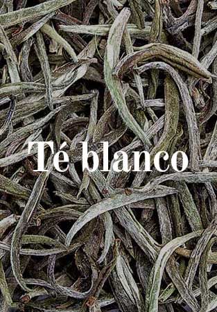 Té blanco